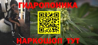 ПСИЛОЦИБИНОВЫЕ ГРИБЫ Гусь-Хрустальный