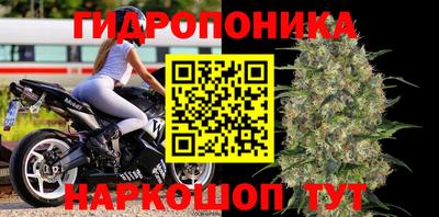 ПСИЛОЦИБИНОВЫЕ ГРИБЫ Гусь-Хрустальный