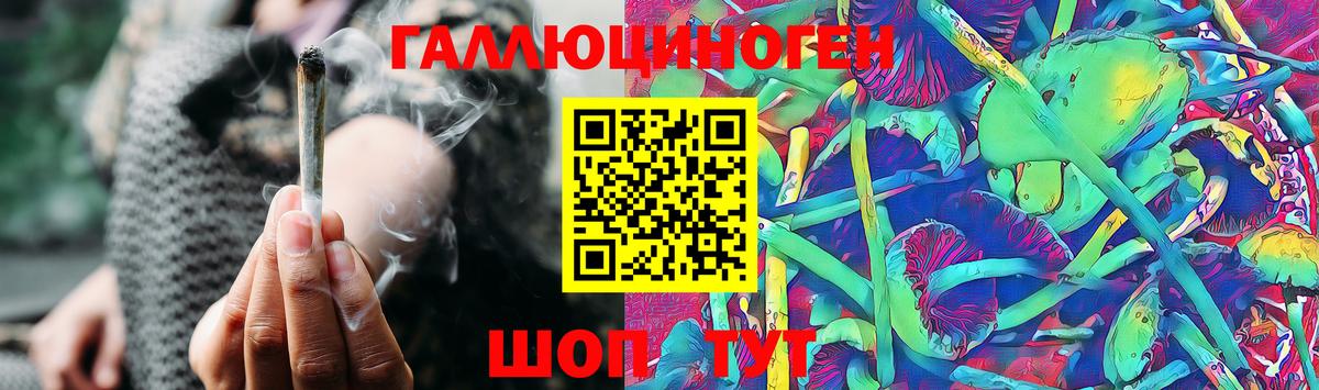 Псилоцибиновые грибы Magic Shrooms Новосибирск